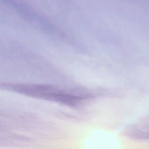 Meet your Posher, Karlee